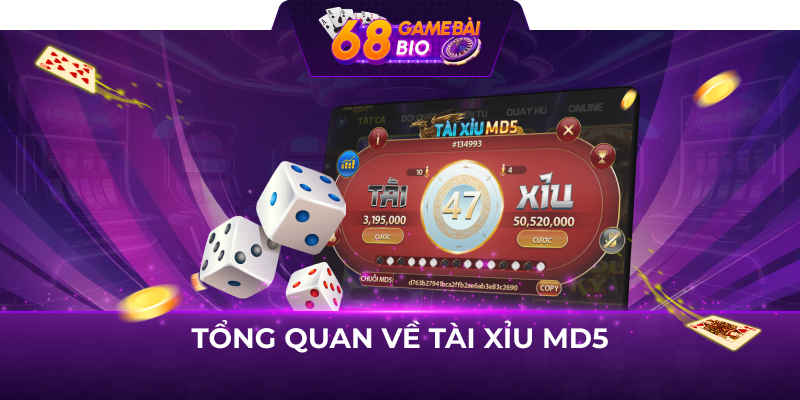 Tổng quan về tài xỉu md5